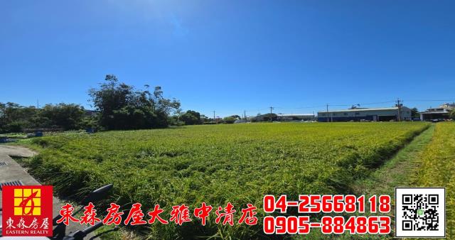 台中神岡農地-6