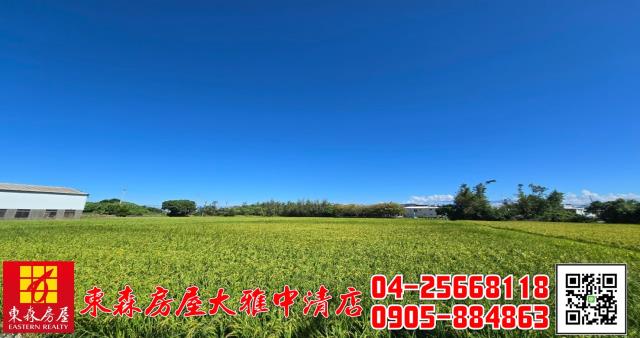 台中神岡農地-8