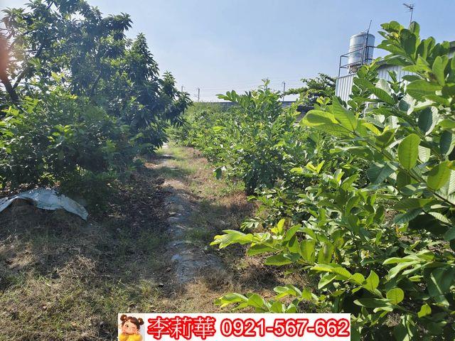 高雄岡山農地-8