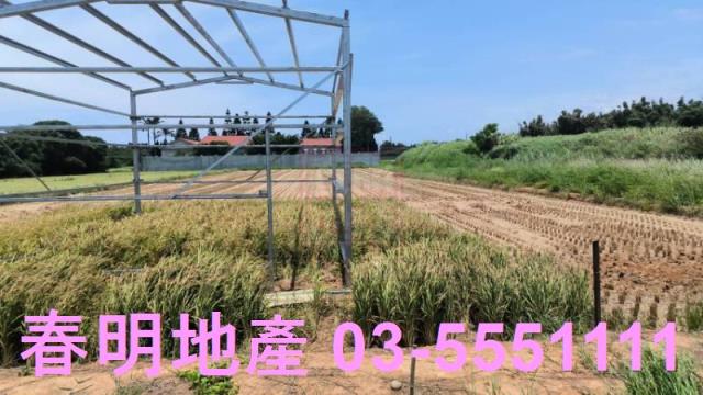 桃園新屋農地-1