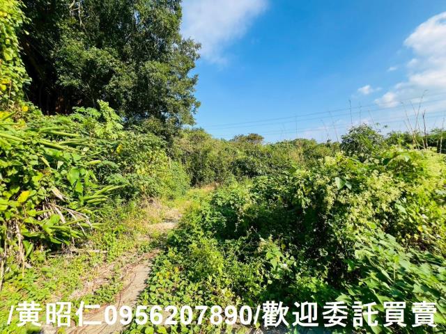 台南農地-10
