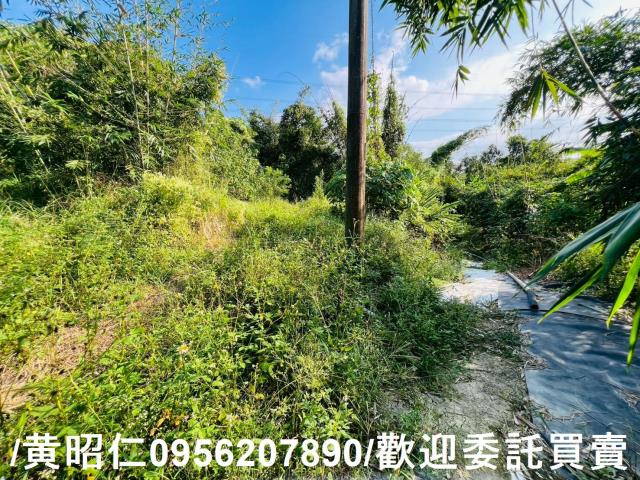 台南農地-6