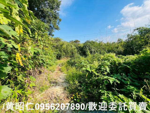 台南農地-9