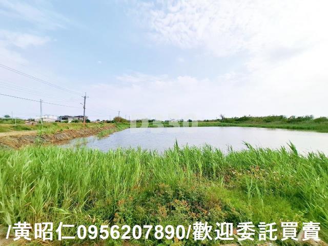 台南安南農地-2