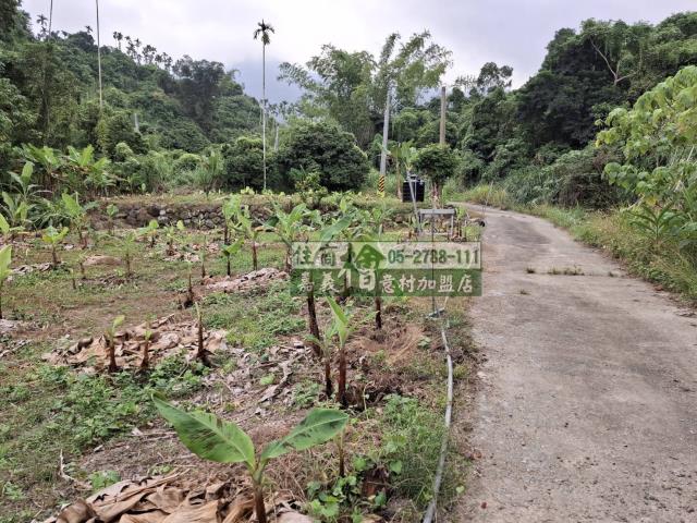 嘉義竹崎農地-3