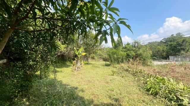 新竹交通用地-4