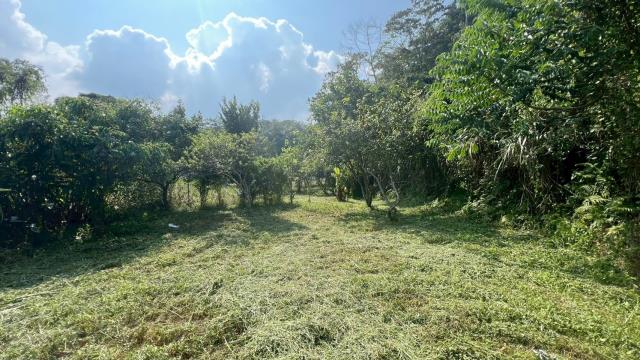 新竹交通用地-5