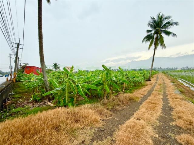 高雄旗山農地-4