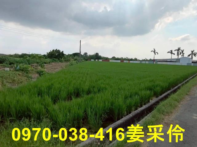 水上農地-3