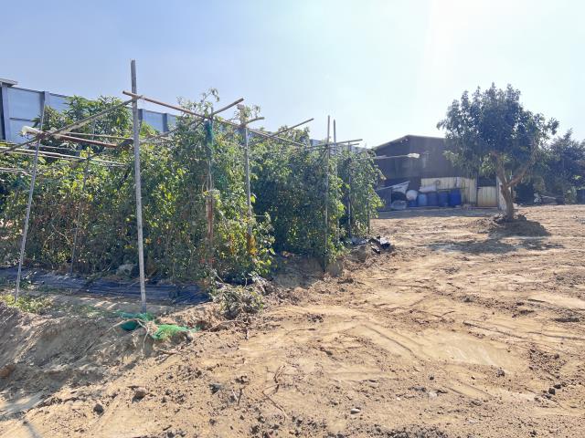 仁德農地-7
