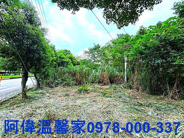 新竹橫山山坡地-3