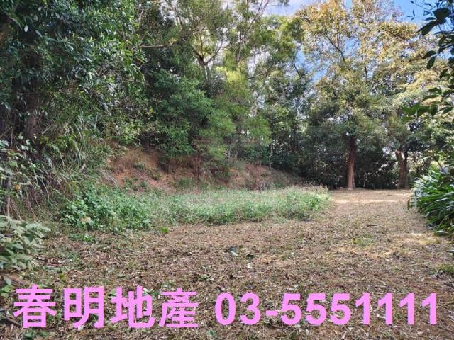 新竹關西農地-5