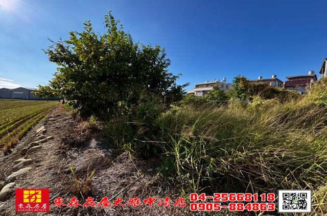 台中神岡農地-6