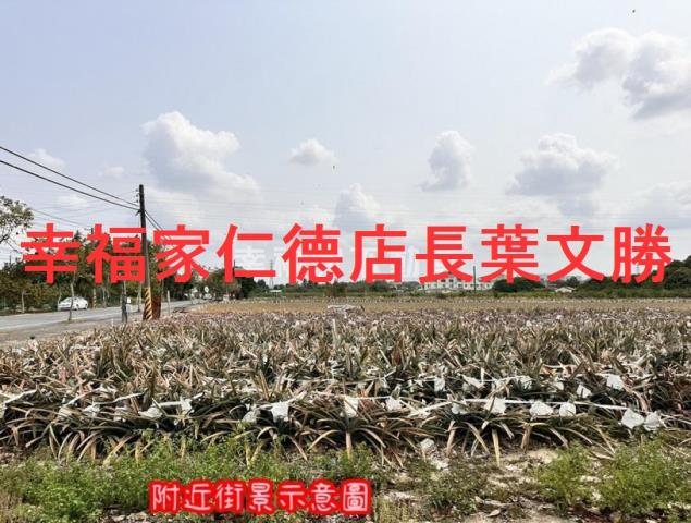 台南山上農地-4