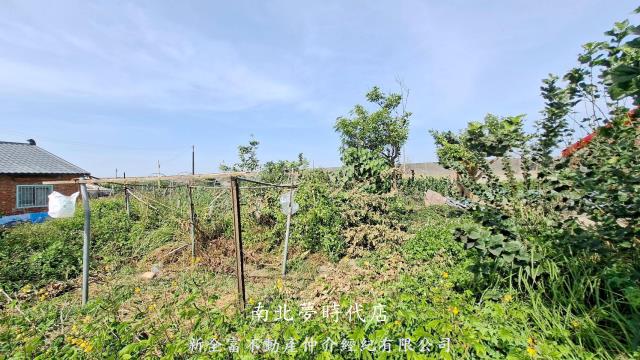 台南鹽水建地-9