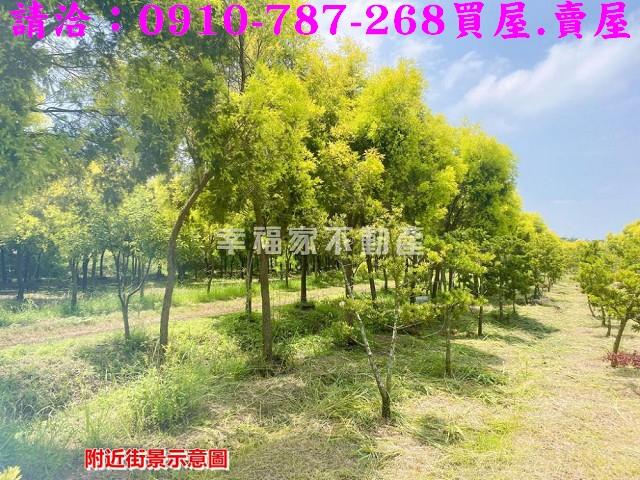 台南六甲農地-12