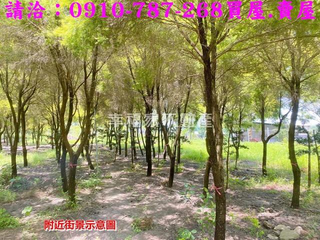 台南六甲農地-13