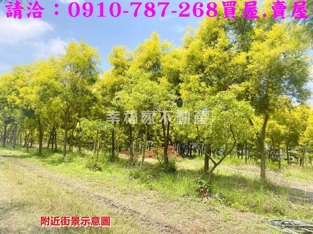 台南六甲農地-14