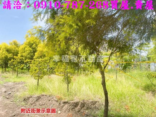 台南六甲農地-8