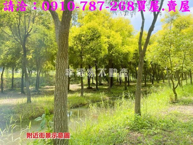 台南六甲農地-9