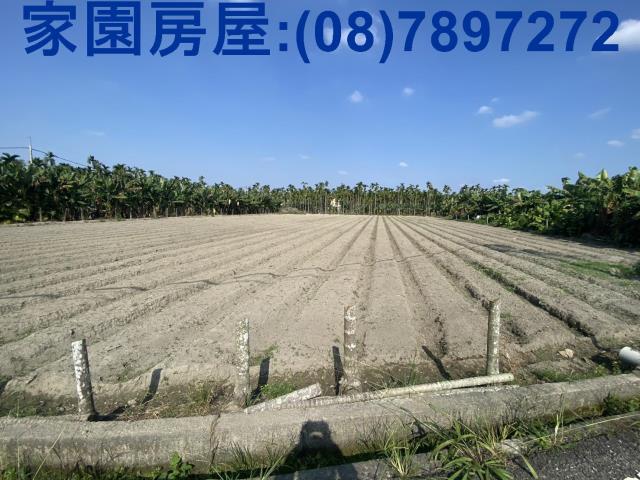 屏東農地-3