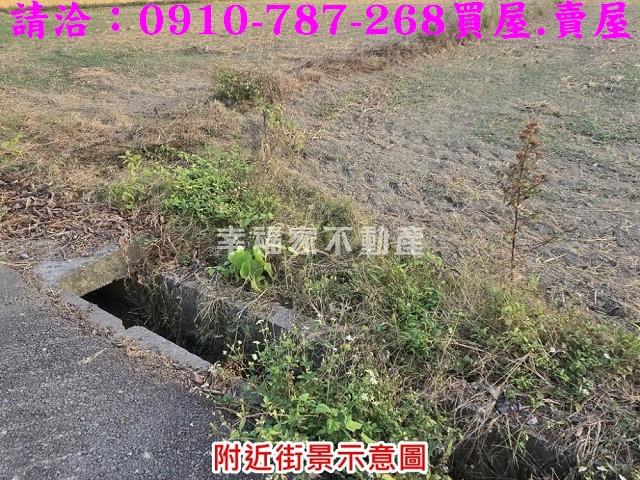 台南官田農地-6