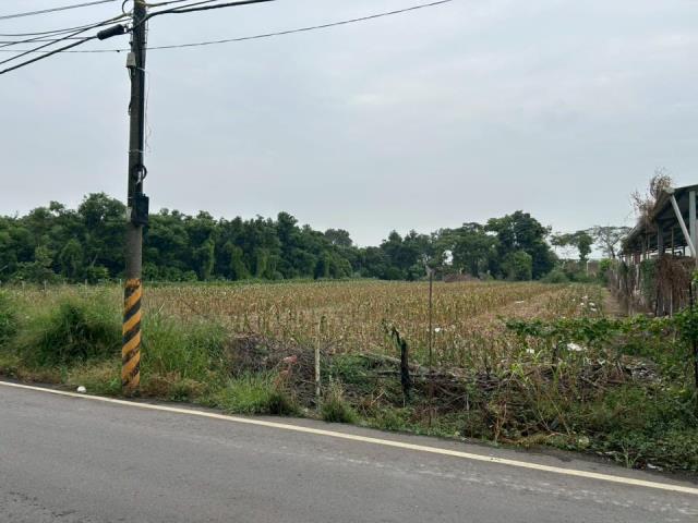 高雄大寮農地-2