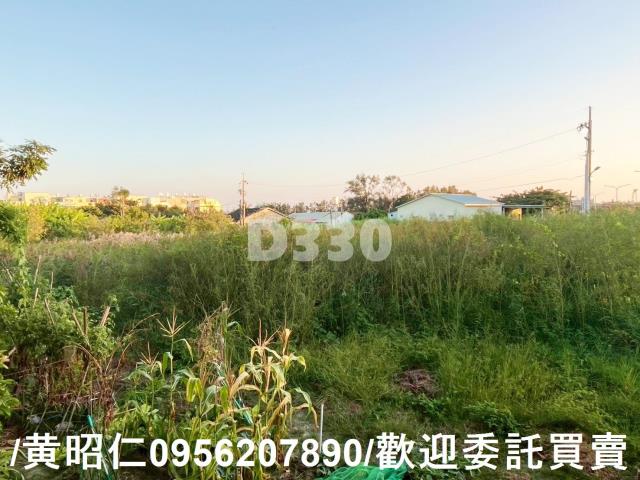 台南七股建地-3