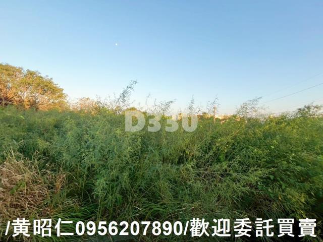 台南七股建地-5