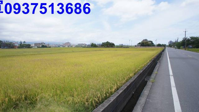 宜蘭宜蘭市農地-2