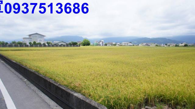 宜蘭宜蘭市農地-9