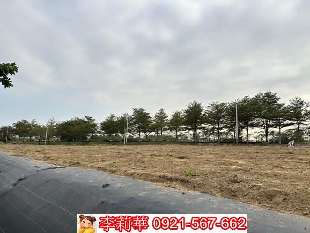 台南新化農地-8