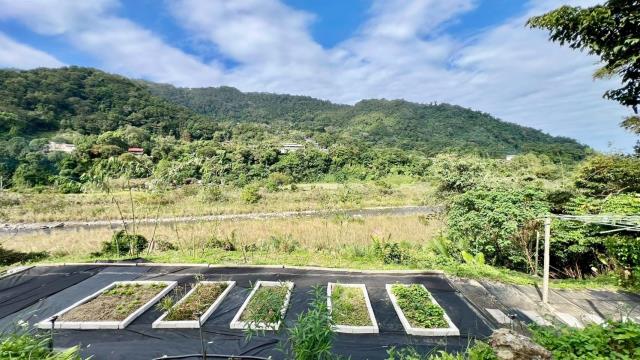 新竹橫山農地-15