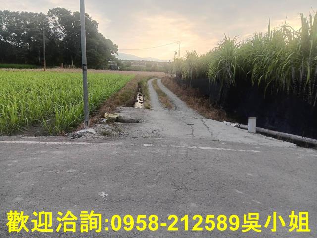 南投埔里農地-3