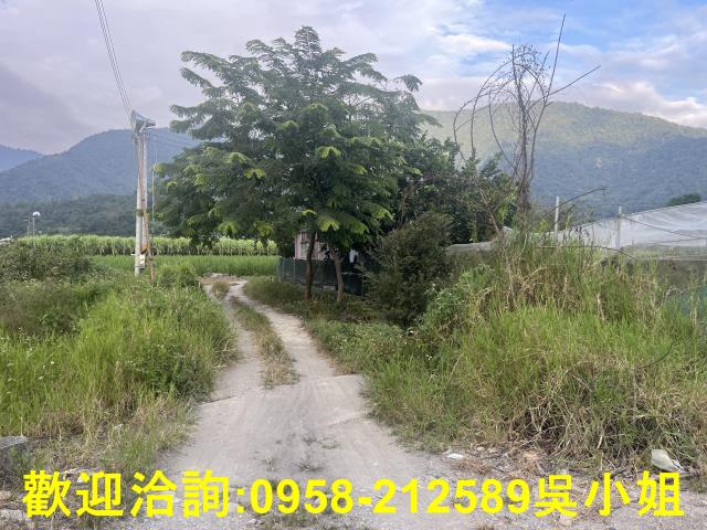 南投埔里農地-5