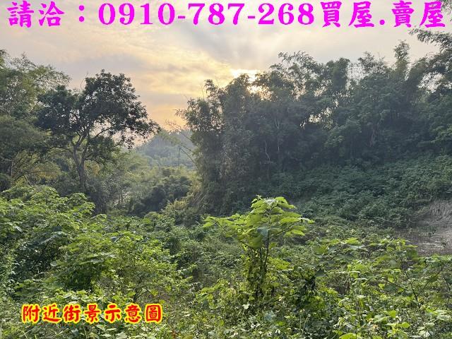 台南龍崎農地-10