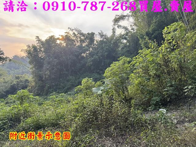 台南龍崎農地-5