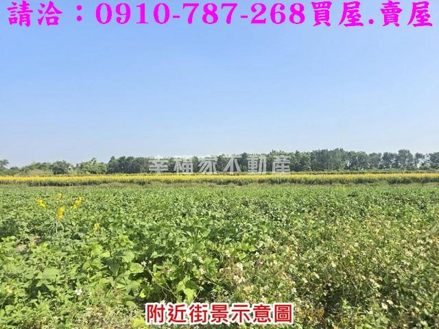台南農地-7