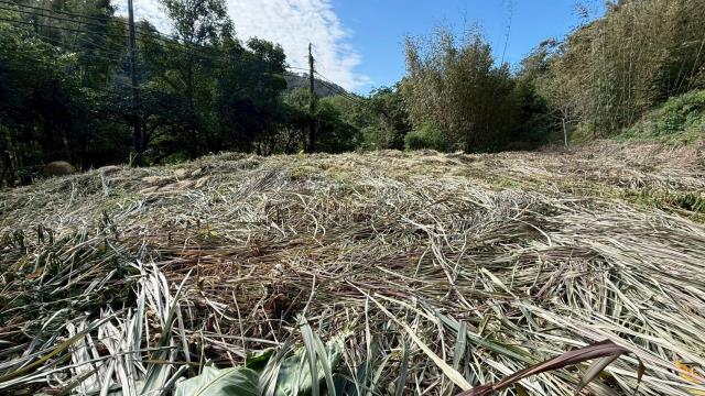 新竹關西建地-7