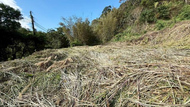 新竹關西建地-8