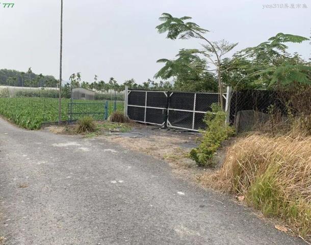 屏東高樹農地-6