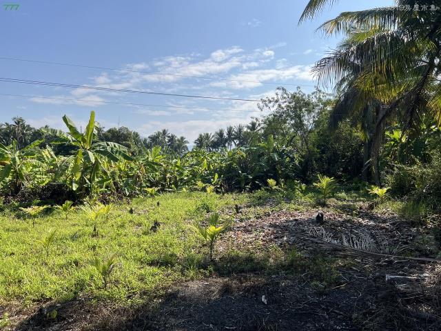 高雄旗山農地-7