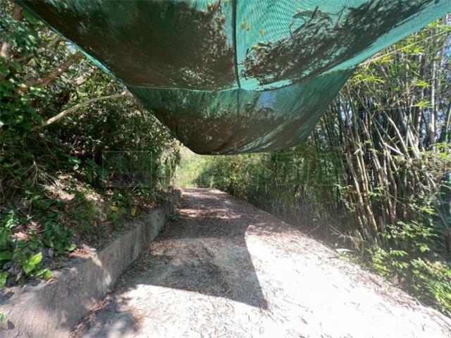 高雄旗山農地-15