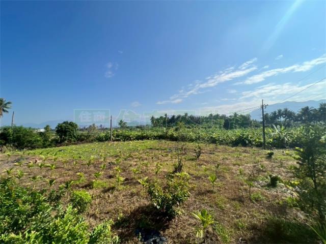 高雄旗山農地-1