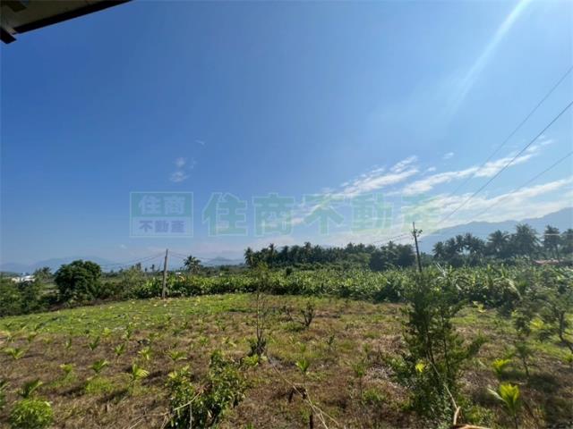 高雄旗山農地-6