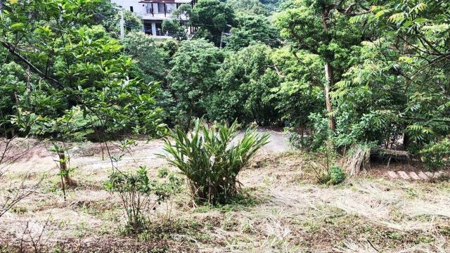 新竹關西農地-12