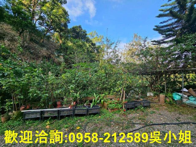 新埔山坡地-15