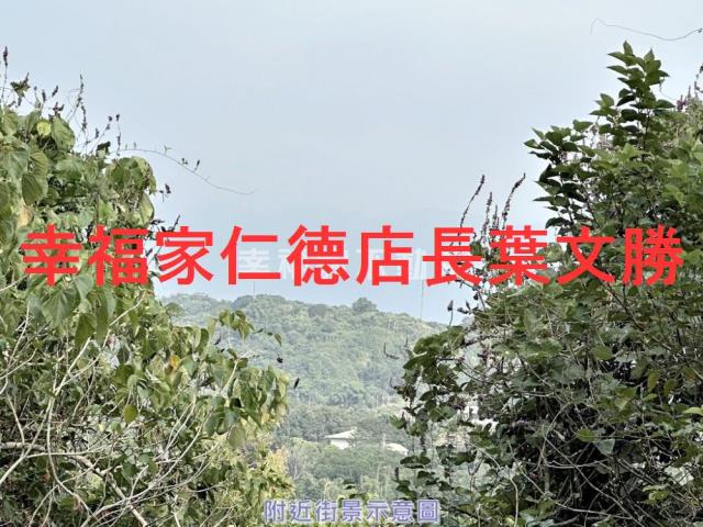 楠西農地-9