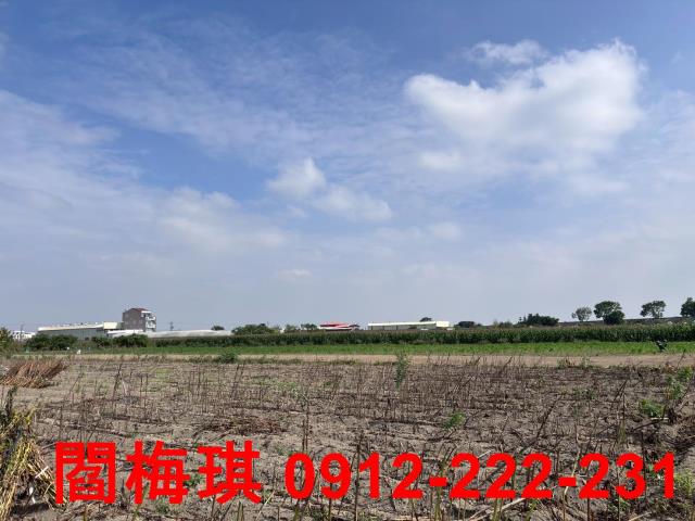 西港農地-1