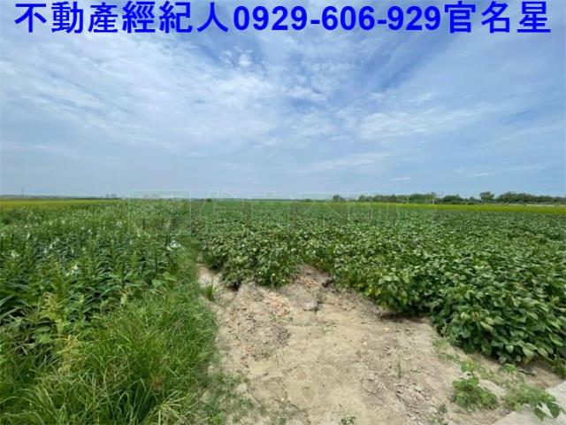嘉義農地-4